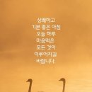 손두부촌 이미지