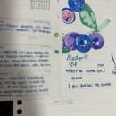 잉크텍 | 파이롯트 만년필 프레라 이로아이+ 이로시주쿠 잉크 구매 후기