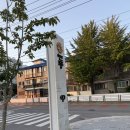 얼얼이닭발구이 이미지