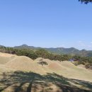 합천 옥전 28호분 출토 금귀걸이 네이버블로그