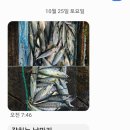 순찬낚시터 이미지