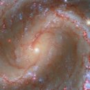 Seed of Li 이미지