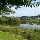 장자호수공원 장미원 이미지