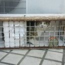 홍익동물종합병원 이미지