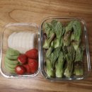진공밀폐용기 와이에스글로벌 전자레인지용 스텐 진공 유리용기 세트