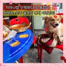 피자대학치킨학과 | 건대 술집 짱구야 학교가자 레트로 야장 감성 어니언치킨 떡볶이 세트 내돈내산 단골후기