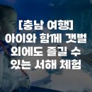 서해농장 | [충남 여행] 아이와 함께 갯벌 외에도 즐길 수 있는 서해 체험