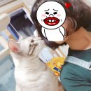 서울허브동물병원 이미지