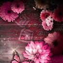 이글농장 이미지