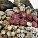 서해대로93번길 이미지