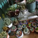 중구청.메리놀병원 이미지