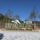 영월로 이미지