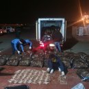 동해-단속-12 이미지