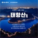 (주)한양여행사 이미지