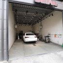 카멜레온 디테일 이미지