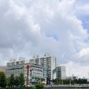 양현교_이매교사이 네이버블로그