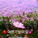 2023서울억새축제ㅡ 하늘공원 월드컵공원ㅡ 서울억새축제ㅡ 서울시 마포구ㅡ 월드컵공원의 하늘공원에서 ㅡ 해마다 10월에 여는 환경문화 이미지