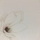 보태니컬 아트(기초) 이미지