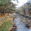 성주산자연휴양림 이미지