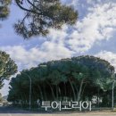 트로페아 이미지