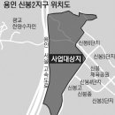 신흥수지 이미지