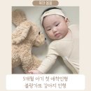 인형과만남 | 5개월 아기 첫 애착 인형, 블랑가또 강아지 인형 솔직 후기