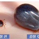 1287 이미지