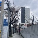 가마솥백반 | 부산 송정 국밥맛집 송정가마솥돼지국밥 수육백반 후기