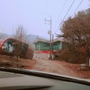 홀리데이 마노