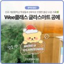 개양중학교 이미지