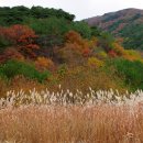 햇빛 찬란한 그 길 이미지