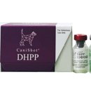 신사약국 이미지