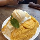 [전포 카페] 백금당 : 망빙단 다 모여! 망고빙수 내돈내산 후기