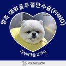 언제나동물병원 이미지