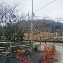 카페 비타리카 이미지