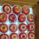 도담도담농장 이미지