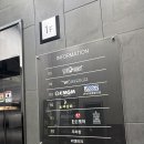 실버래빗 이미지