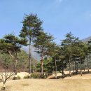 스토리골프 이미지