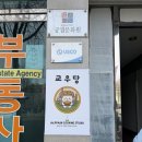 교우 | 아이랑 함께한 영어쿠킹클래스 교우당 알찬 구성 후기