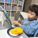 과일킹 | 압도적인 사이즈와 당도 청담온과일 골드킹망고