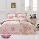 라라아비스 이미지