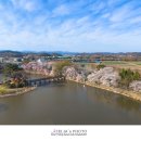 영산 만년교 이미지