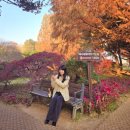 황등로 | 익산 반일여행지 아가페정원_주황빛으로 물든 메타세콰이어숲은 절정!