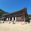 NR-18[구례로]-상-299 | 구례 화엄사 [4] / 2025.10