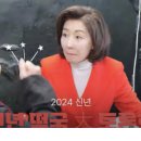 [추적] &#39;나경원 억대 피부 미용&#39; 가짜뉴스가 그때 선거 결과 바꾸었나? 이미지