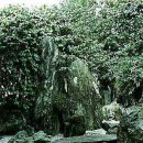 고산수식