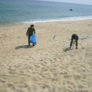 호수식당 이미지