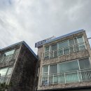 굿모닝세탁하우스 | 제주 서귀포 가성비 숙소 굿모닝하우스펜션 1박 4만원 에어비앤비 예약