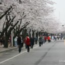 능동로R 이미지