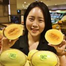 롯데백화점 이미지